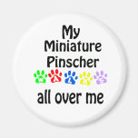 Miniature Pinscher Walks Design Refrigerator Magnets