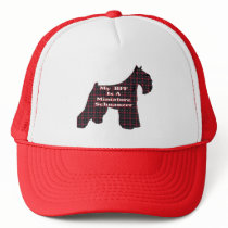 Miniature Schnauzer BFF Gifts Mesh Hat
