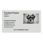 Miniature Schnauzer Dog Business Card