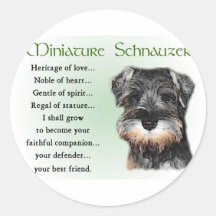 Miniature Schnauzer Gifts Round Sticker