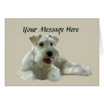 Miniature Schnauzer Greeting Card