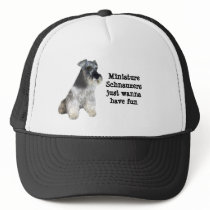 Miniature Schnauzer Hat