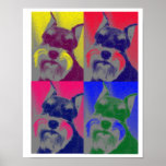 Miniature Schnauzer posters