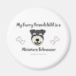MiniatureSchnauzer Refrigerator Magnet