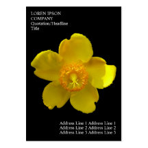 Minimal Flowers - St John's Wort - Black Business Card Templates