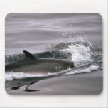 Minke whale mousepad