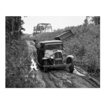 Minnesota Blueberry Pickers, 1937 Postcard