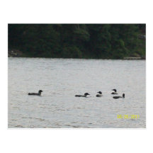 Minnesota Postcard