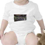 MINNESOTA TEE SHIRTS