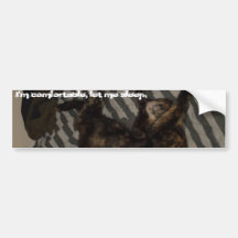 Minoune, I'm comfortable, let me sleep. Bumper Stickers