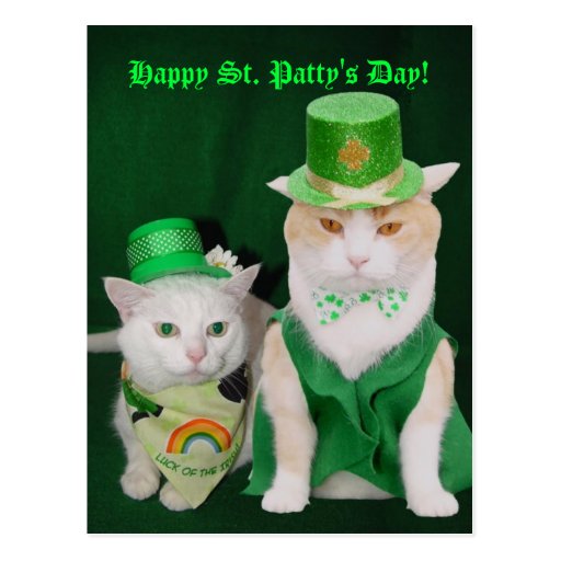 Minous de St Patrick Cartes Postales
