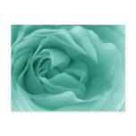 MINT GREEN Close Up of a Frilly Rose Post Card