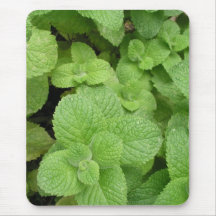 Mint Mouse Pads