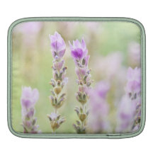 Minty Lavender - Dreamy Purple Mint iPad Sleeves