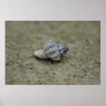 Minutiae posters
