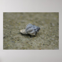 Minutiae Poster