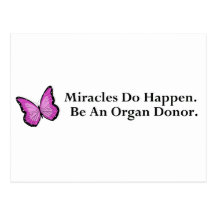 Miracle Butterfly Post Cards