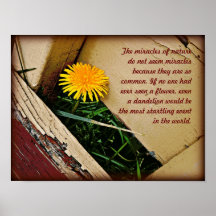 Miracles of Nature Posters