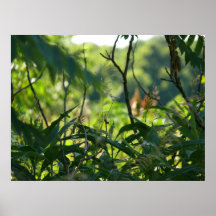 Mirage Print