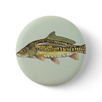 Mirror carp pins