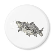 Mirror Carp Magnet
