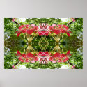 Mirror Flowers posters