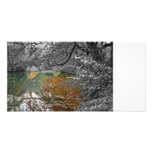 Mirror garden photo card