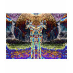 Mirror Giraffe Collection t-shirts