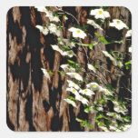 Mirror Lake-Dogwood tree Pink flowers Stickers