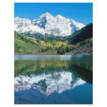 Mirror Lake Custom Flyer