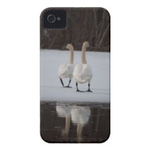 Mirror Mirror Case-Mate iPhone 4 Cases