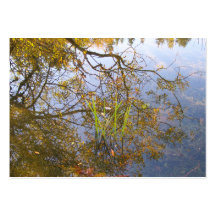 Mirrored Branches Business Card