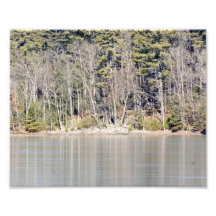 Mirrored Trees 10x8 Photographic Print