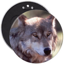 Miscellaneous Items Pinback Button