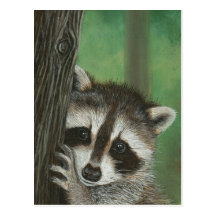 Mischief Raccoon up a Tree postcard