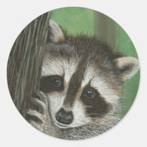 Mischief Raccoon up a Tree sticker