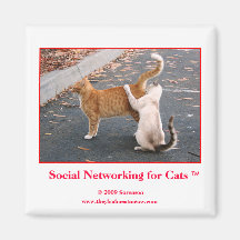 Mise en réseau sociale pour l'aimant de chats