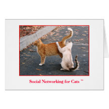 Mise en réseau sociale pour le blanc de chats à l' carte de vœux