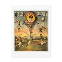 Miss Stena Flying Trapese Vintage Circus Poster Postcard