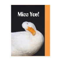 Miss You! Cute White Duck