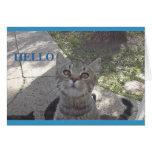 Miss You kitty card