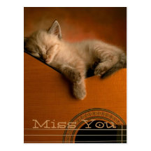 Miss You Postcard