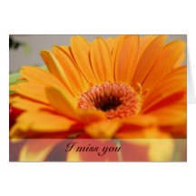 Miss YOU! Postcard Tarjetas