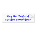 Missing Something? Bumper Sticker bumper stickers