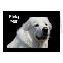 MISSING U MORE EVERYDAY CARDS