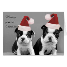 Missing you on Christmas Boston terriers card