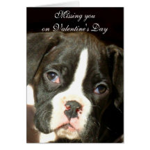 Missing you on Valentine's Day greeting card