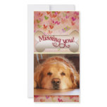 Missing you on Valentine's day photo template photo cards