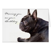 Missing you on your Birthday French Bulldog card