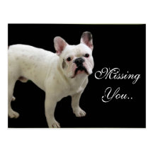 MIssing You White French Bulldog postcard